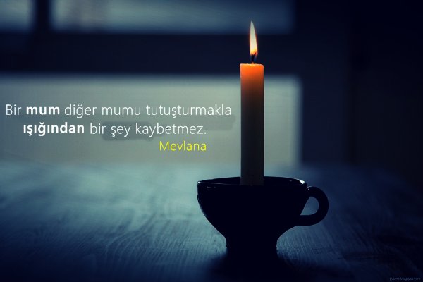 Hoşgörü