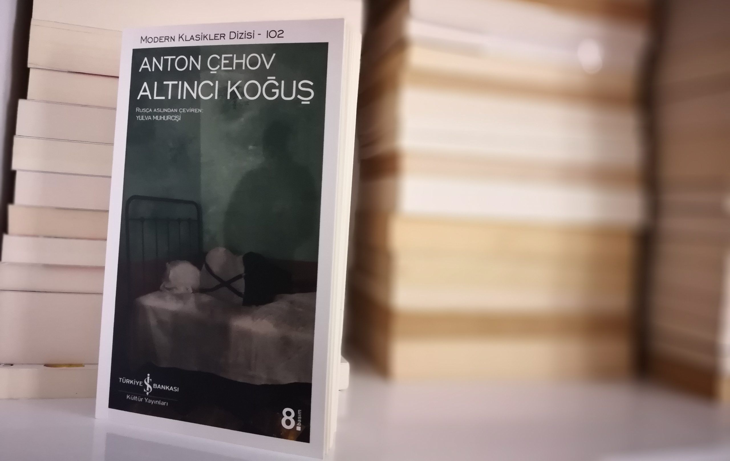 Altıncı Koğuş - Anton Çehov | Rehberlik Servisi
