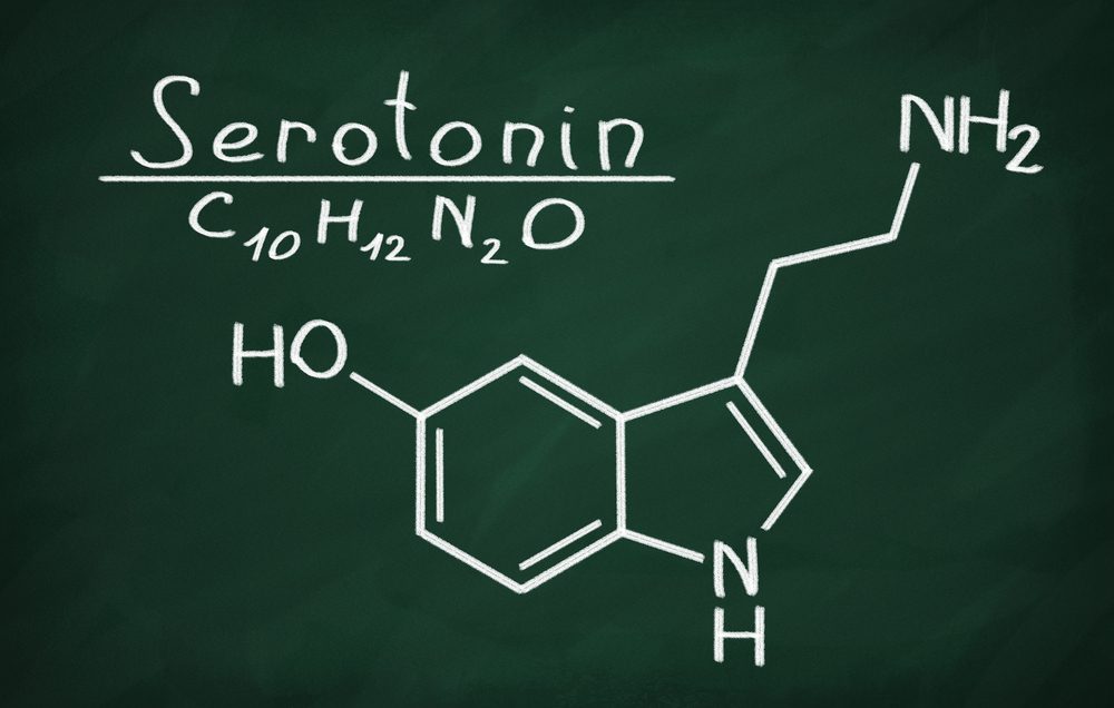 Sevginin biyoloji altyapısı; Serotonin Hormonu